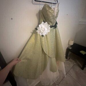 Princess Tiana Cosplay Costume: Size XS - NEVER WORN!